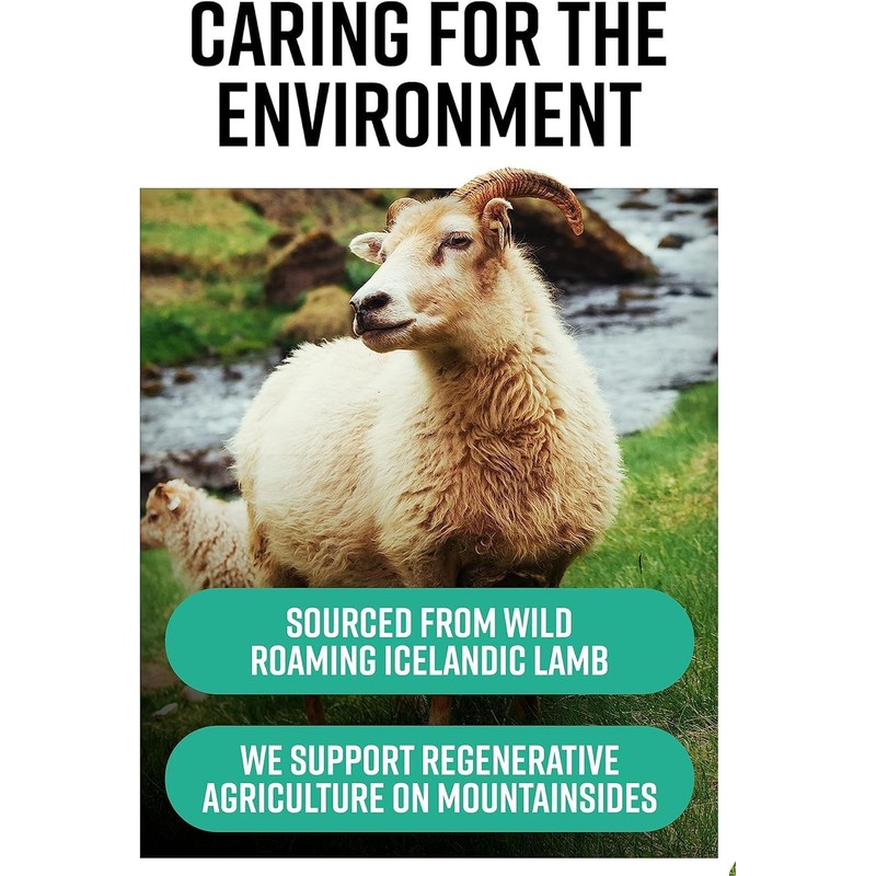 Hunter & Gather Lamb Liver and Heart Capsules from Whole