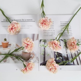 ICBOX Light Pink Artificial Carnation Silk Flowers 15pcs Fake Carnation Pink Artifcial Flowers with Stems for Home Decor Wedding Bridal Bouquet Anniversary Birthday Floral Arrangements (Light Pink