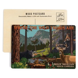 Beech Mountain, North Carolina, Where the Wild Things Are, Utopia (4x6 Birch Wood Postcards, 2-Pack Stationary, Rustic Home Wall Decor)