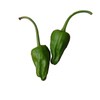Padron Sweet Pepper Seeds - Famous Spanish Heirloom - 10