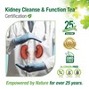 Bell Kidney Cleanse & Function Tea by Bell Lifestyle Products
