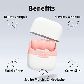 Leeshine Ice Roller Set for Face and Eyes - Premium Skin Care Tool