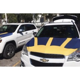 Michigan Wolverines “wings” - Auto Hood Cover - NEW - great for tailgating