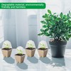 QYINXIU 20 Pcs Biodegradable Nursery Pots, Seeding Starter Pots for