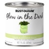 Rust-Oleum 214945 Glow in The Dark Brush On Paint, Half