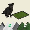 MEEXPAWS Dog Grass Pee Pads for Dogs with Tray, Small