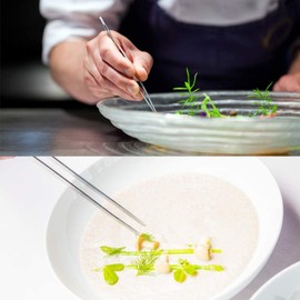 Professional 12-Inch Extra-Long Stainless Steel Tweezers – Precision Slanted Tip for Electronics, Mechanical Repair, Crafts & Beauty