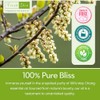 freshskin beauty ltd 10ml May Chang Essential Oil - Freshskin