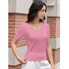 DAIMIDY Women's V Neck Short Sleeves Sweaters Soft Knit Lightweight