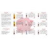 CMD Naturkosmetik: Feuchtigkeitsmaske Rose Exklusiv Kosmetik: CMD Naturkosmetik: Groesse: Feuchtigkeitsmaske