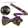 Barry.Wang Mardi Gras Purple Green Gold Bow Tie for Men