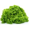 RAISE ME UP: Seeds Indoor Lettuce Green Leaf Balcony Non