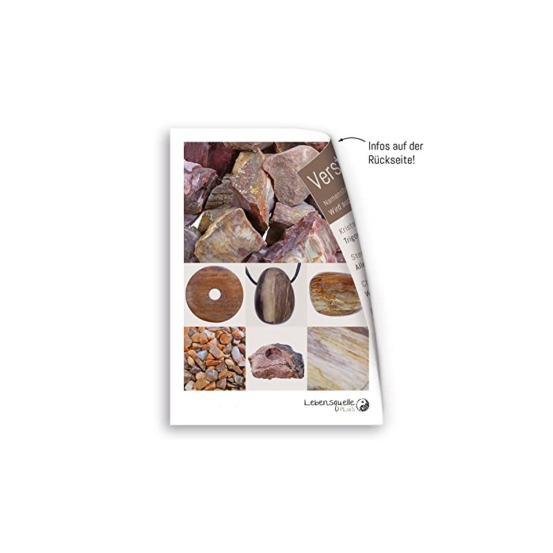 Lebensquelle Plus Versteinertes Holz Wassersteine | 100% naturbelassene Rohsteine |