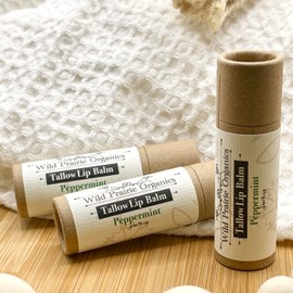 Organic Tallow Solid Lip Balm Moisturizer - Natural and Clean Lip Care that’s Hydrating and Soothing - Large .3 Fluid Ounce Recyclable Cardboard Tube - Untinted (Peppermint)
