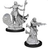 Nolzurs D&D Marvelous Unpainted Miniatures: Wave 9: Human Female Fighter