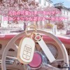 Nacalikeey Plum Blossom Key Case, Cute Car Model Key Cover,