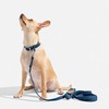 Wild One Navy Dog Collar, Medium
