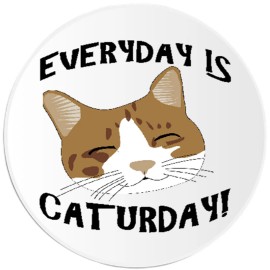 Kiwi Gifts Everyday Is Caturday - Circle Sticker Decal 3 Inch - Cat Humor Pun