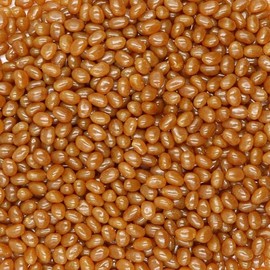 Smarty Stop Jelly Beans Every Flavor Candy (2 Pound (Pack of 1), Cola)