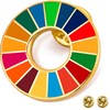 Gooing SDGs UNDP Pin Badge Badge