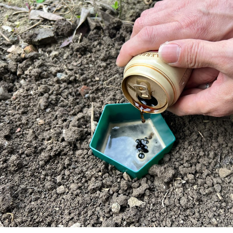 Pimaja Snail Trap 4 Pieces Eco-friendly to Catch Slugs Snails