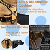 EarthPETS Classic Pet Harness No Pull with 2 Leash Clips,