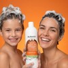 Babaria Shampoo Adultos Y Niños