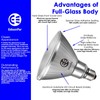 EdisonPar Full-Glass PAR38 LED Flood Light Bulbs Outdoor/Indoor Equivalent 350