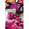 Flower Bath Petals, Bath Salts, Flowers, Bath Petals, Gift, Celebration,