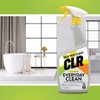 CLR Everyday Clean Multi Purpose Cleaner, Clean Lemon, 22 Ounce