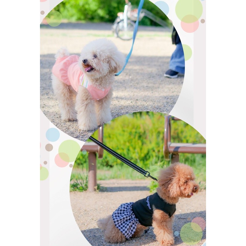 PetGround Dog Leash Cute, Soft Lead, Soft, Stylish, Lightweight, Reflective