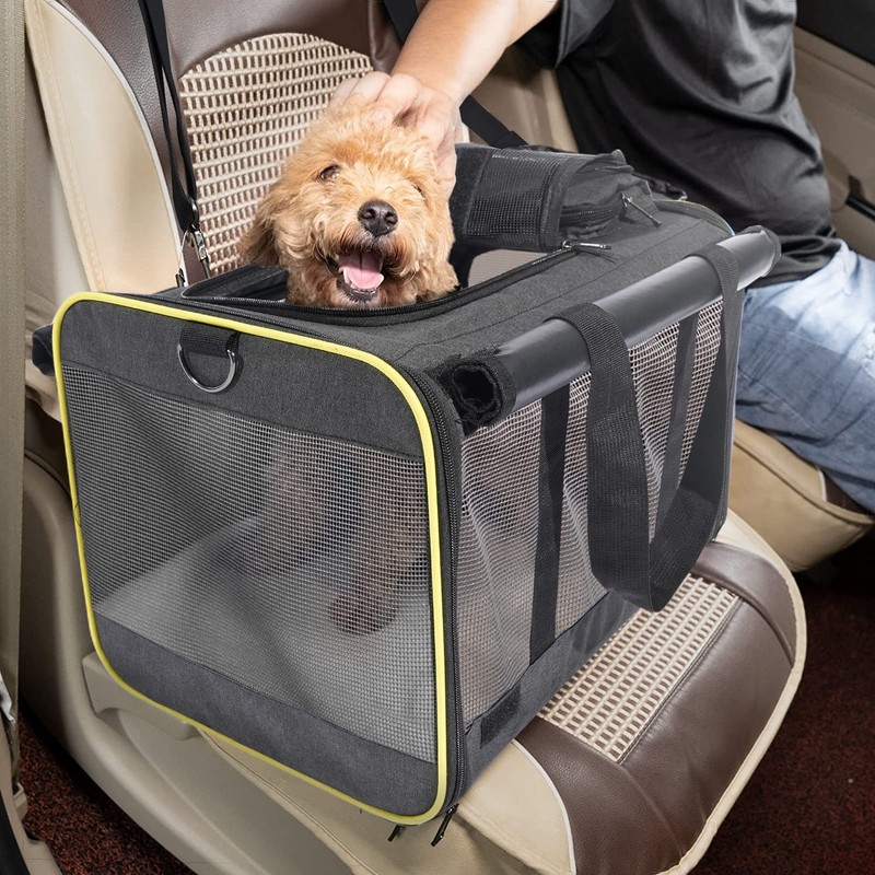 GAPZER Cat Carriers for Large Cats 20 lbs+ Soft Pet
