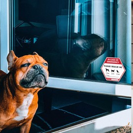 “in Case of Emergency Please Rescue Me Pet Rescue Decal Set, 5 Pack Pet Fire Rescue Stickers, Dog Inside Fire, Pet Alert Stickers for House, 5 x4.3 Inch.