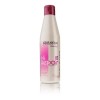 Salerm Hi Repair Shampoo 250ml + Mascarilla 250ml