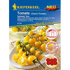Tomatoes Cherry Tomato Summer Sun F1