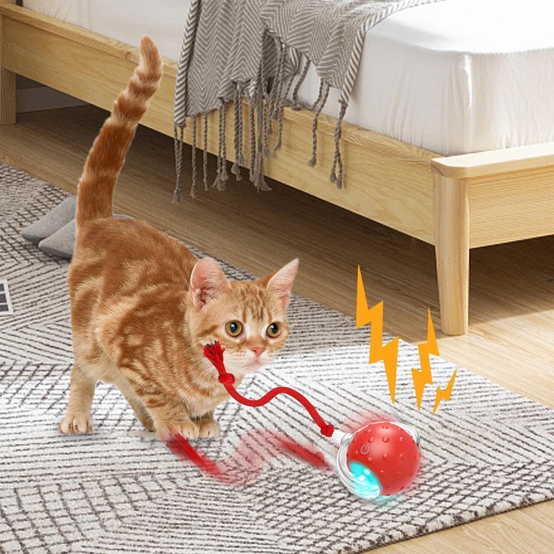Indoor Cat Interactive Ball | Chirping Lighted Self-Moving Cat Ball