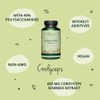 Cordyceps Sinensis Vegavero® | 650 mg (10:1) CS-4 Extract 40%