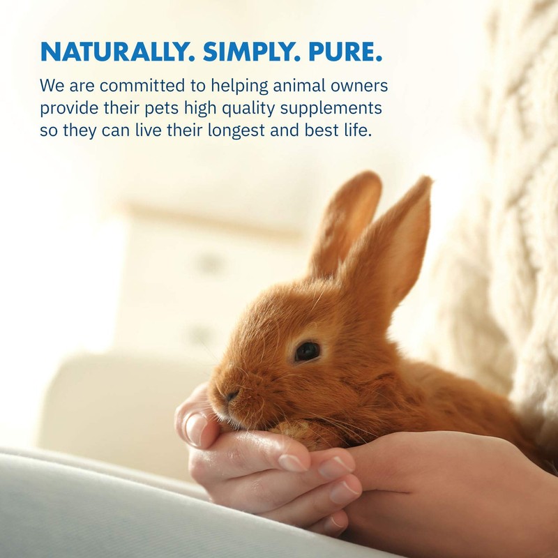 Equa Holistics HealthyGut Probiotics for Rabbits Dietary Supplement, All-Natural Digestive