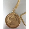 Wendell's Fit AA NA Medallion Sobriety Chip Holder 22" Necklace