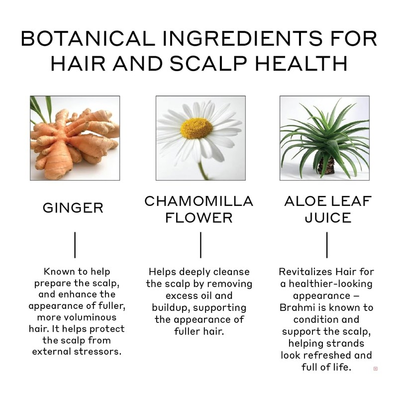 ZENAGEN Revolve Conditioner (Unisex) | Supports Scalp Health & Appearance