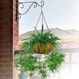 EROCK 2PCS Round Coco Liners, Replaceable Coconut Fiber Plant Basket Liner for Plant Hanging Basket, Garden Flower Vegetables Pot (16 inch)