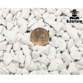 O-FarFarm Chunky Perlite Bulk, Horticultural Pearlite Coarse Perlite for Plants Indoor, Additive Conditioner Mix, Improve Drainage and Ventilation, Help Root Growth (5-10mm, 2qt)