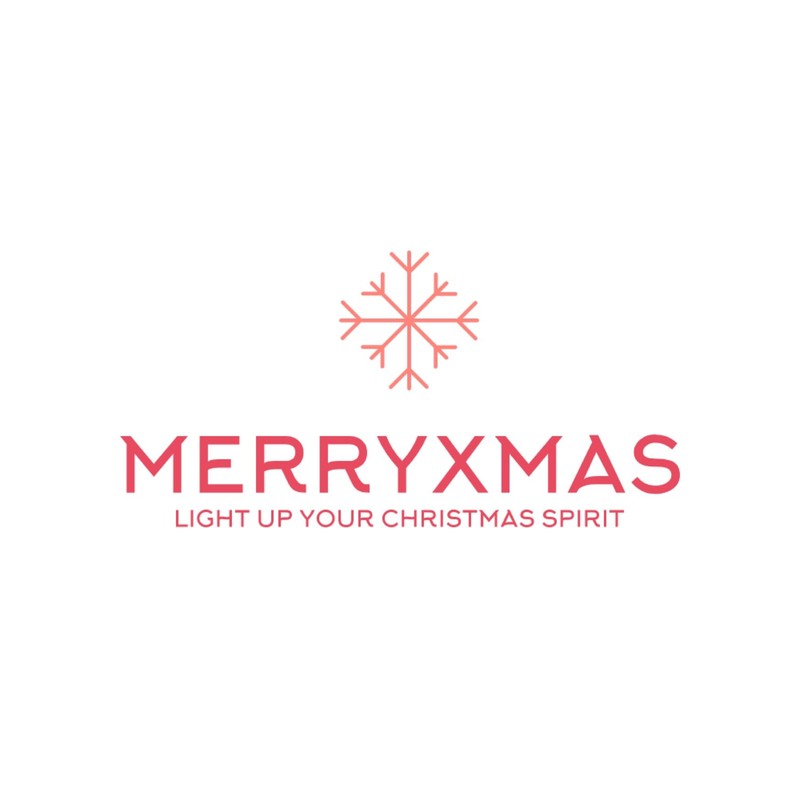 MERRYXMAS 50 x Hook Fairy Lights Holder & Light Curtain