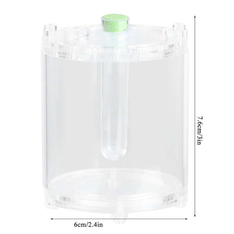 Acrylic Transparent Reptiles Insects Feeding Living Box Mantis Beetle Cultivate