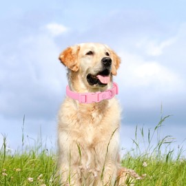 Waterproof Dog Collar Soft Rubber Dog Collar with Safety Buckle Adjustable Pet Collars for Small Medium Large Dogs