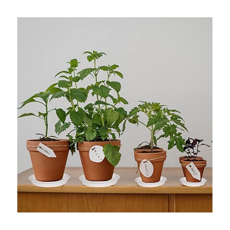 Bleuhome 6 Pack Plant Saucer 4 5 inch (4 inch