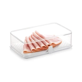 Tescoma Healthy Container for The Refrigerator Purity, Large, Assorted