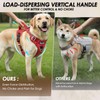 SlowTon No Pull Dog Harness, Heavy Duty No Choke Pet