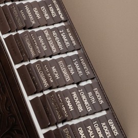 UPAFEXXI-Laminated Bible Tabs with Book Summaries(Gold Foil Embossed Lettering), Bible Tabs for Women and Men, Reposition Large Print Stickers, Easy to Read, 80Chapters Labels for Easy Navigation