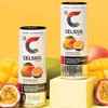 Celsius Essential Energy Sparkling Variety Pack (12 fl. oz., 6